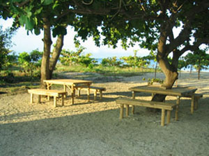 Open Picnic Cottage